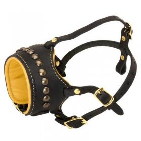 Open Nose Studded Leather Belgian Malinois Muzzle With Nappa Padding