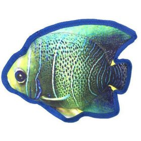 9" Tropical Angelfish