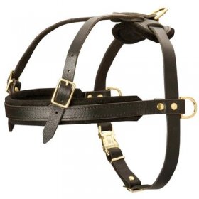 Leather Belgian Malinois Harness for Tracking and Pulling