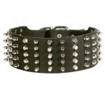 Belgian Malinois Leather Collar Spiked and Studded