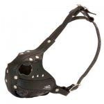 Leather Belgian Malinois Muzzle for Agitation Training and Military Service