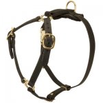 Y-Shaped Leather Belgian Malinois Harness for Tracking and Training