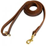 Stitched Leather Belgian Malinois Leash for Training and Walking