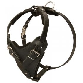 Protection Leather Belgian Malinois Harness for Attack / Agitation Dog Training