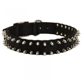 Belgian Malinois Nylon Collar Spiked