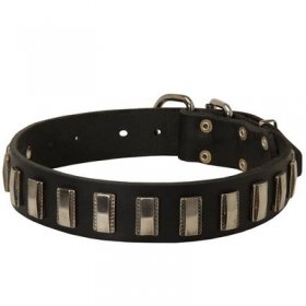 Belgian Malinois Leather Collar with Shiny Plates