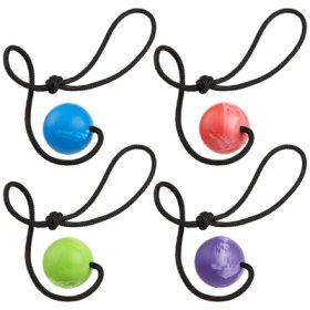 Dogline Euro Ball on Rope