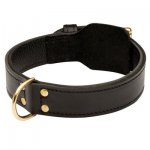 Training 2 Ply Leather Belgian Malinois Collar