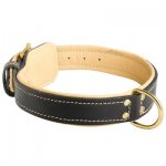 Padded Leather Belgian Malinois Collar