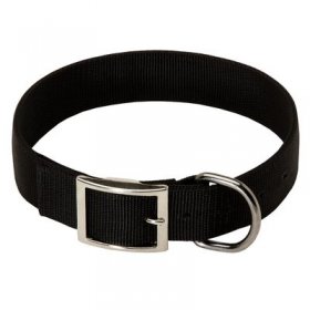 2 Ply Nylon Belgian Malinois Collar