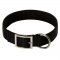 2 Ply Nylon Belgian Malinois Collar