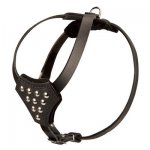 Designer Leather Belgian Malinois Harness with Adjustable Straps for Puppy Walking and Training