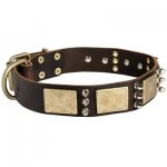 Designer War-Style Leather Belgian Malinois Collar with Spikes and Plates