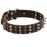 Spiked and Studded Leather Belgian Malinois Collar