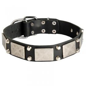 Leather Belgian Malinois Collar Decorated with Nickel Cones and Plates