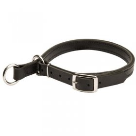 Belgian Malinois Leather Choke Collar