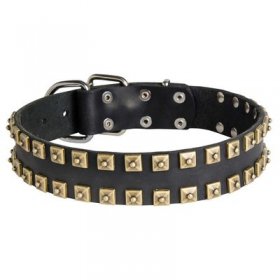 2 Rows Brass Studded Leather Belgian Malinois Collar for Walking and Training
