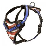 American Flag Painted Leather Belgian Malinois Harness for Agitation Training