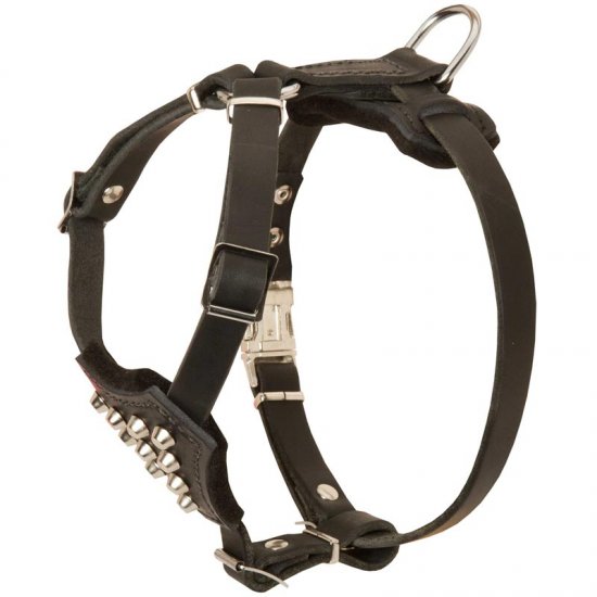 leather puppy harness
