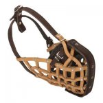 Basket-Like Belgian Malinois Muzzle Leather