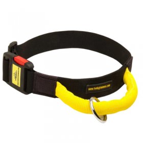 Strong Nylon Belgian Malinois Collar with Quick Release Buckle and Bright Handle