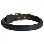 Belgian Malinois Braided Leather Collar 1 Inch