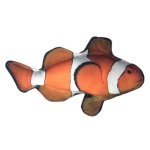 10" Tropical Clownfish