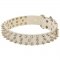 Designer Spiked Leather Belgian Malinois Collar for Fashionable Walking