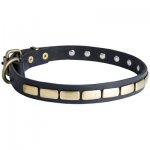 Leather Belgian Malinois Collar with Brass Plates