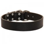 Wide Leather Belgian Malinois Collar for Training and Walking