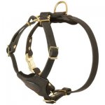 Spruce Leather Belgian Malinois Harness With Small Chest Plate