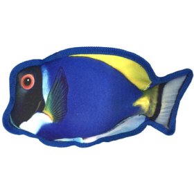 10" Tropical Blue Tang