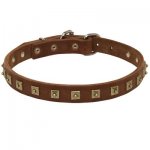 Handcrafted Leather Belgian Malinois Collar with Square Studs