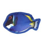 7" Tropical Blue Tang Small