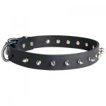 Belgian Malinois Leather Collar Spiked 30 mm