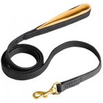 Padded on Handle Leather Belgian Malinois Leash for Walking and Training