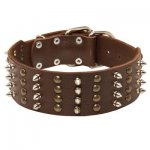 Extra Wide Leather Belgian Malinois Collar Spiked and Studded