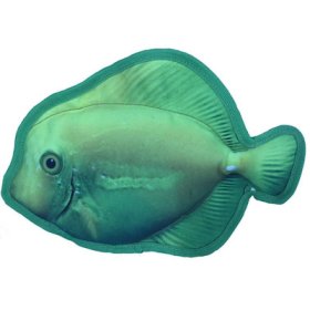 11" Tropical Surgeonfish