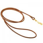 Round Leather Belgian Malinois Leash for Dog Shows