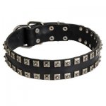 New Leather Belgian Malinois Collar - Fashion Exclusive Design - "Caterpillar"