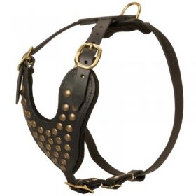 Adjustable Studded Leather Belgian Malinois Harness for Fashion Walking