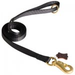 Any Weather Nylon Belgian Malinois Leash for Walking, Tracking, Training