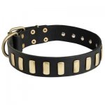 Fancy Leather Belgian Malinois Collar with Brass Plates