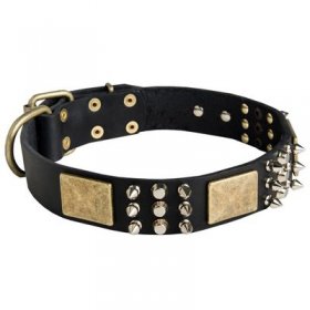 Spiked Leather Belgian Malinois Collar with Plates and Cones