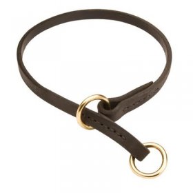 Belgian Malinois Leather Choke Collar Effective Training