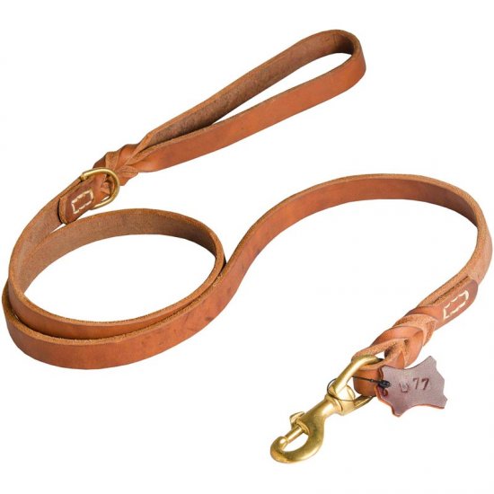 Walking and Training Leather Belgian Malinois Leash with Comfy Handle - Click Image to Close