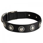 Belgian Malinois Nylon Dog Collar with Circles Decoration