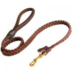 Belgian Malinois Leather Braided Dog Leash