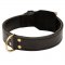 Training 2 Ply Leather Belgian Malinois Collar