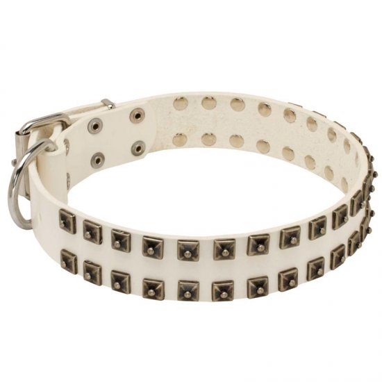 White Leather Belgian Malinois Collar with Old Nickel Square Studs for Daily Dog Walking - NEW OFFER - Click Image to Close